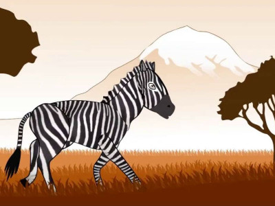 zany zebra Zany Zebra