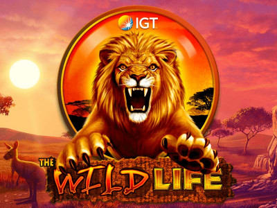 wild life slot WildLife slot game