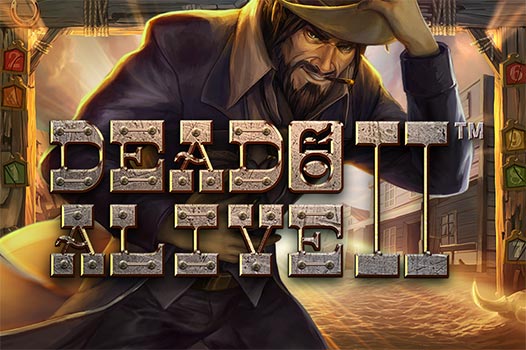 Dead Or Alive 2 Overview Logo