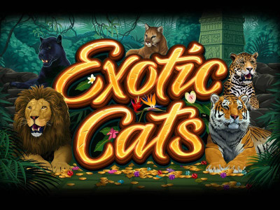 Exotic Cats Slot Featured Image Exotic Cats Slot Featured Image